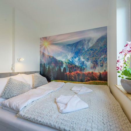 Apartament Logana Z Sauna - 5D Apartamenty Świeradów-Zdrój 外观 照片